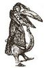 Filename=crow.jpg
Filesize=6KB
Dimensions=99x150
Date added=Jun 25, 2006 crow.jpg